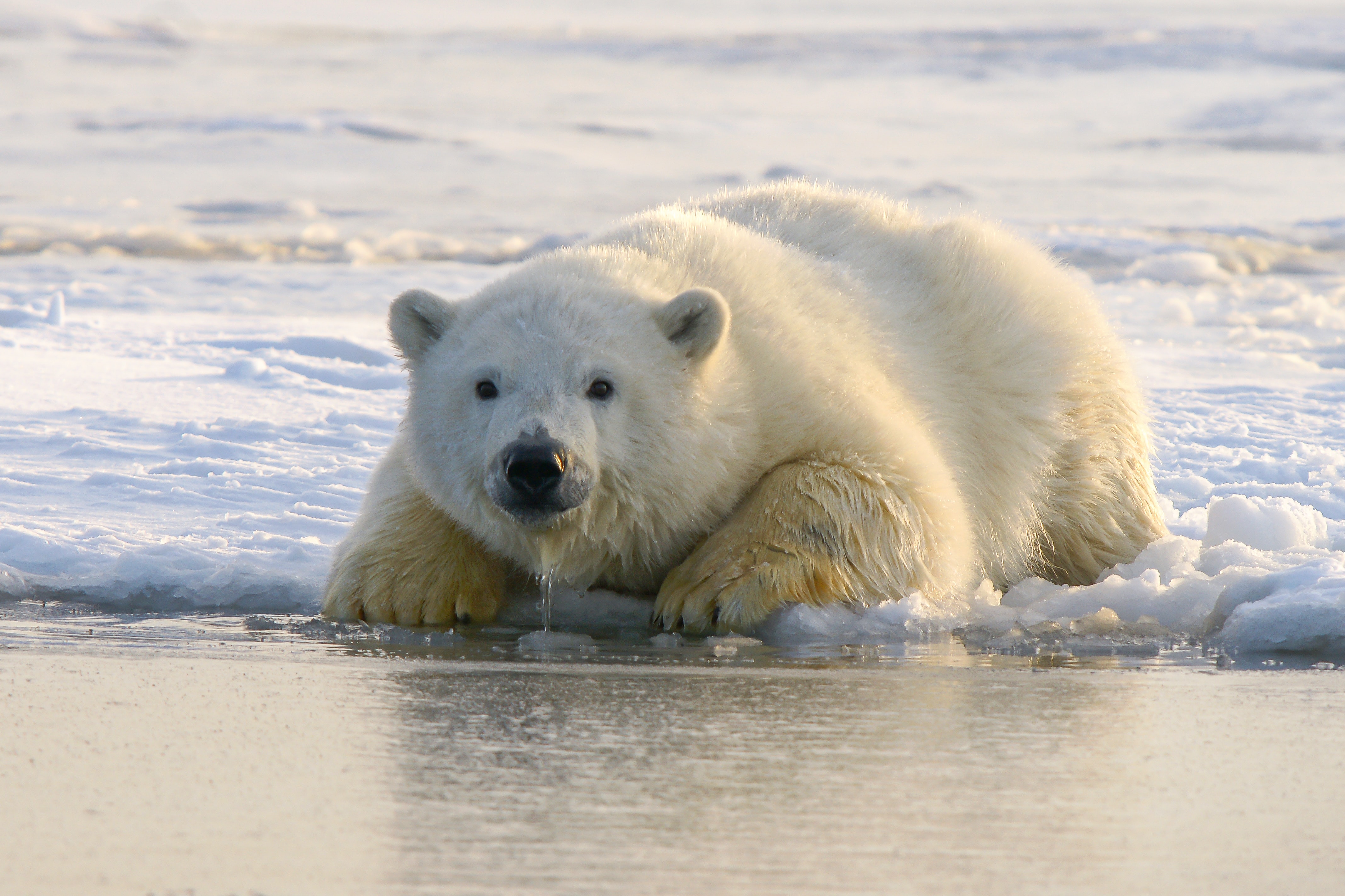 Glassnode: Bitcoin Is Yet To See This Historic Late-Bear Crossover