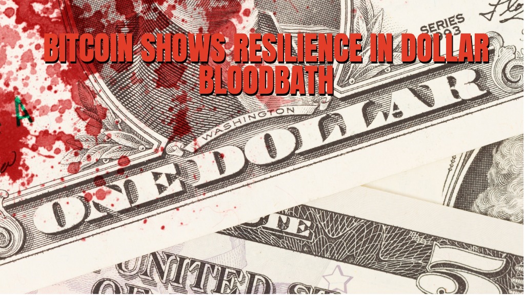 El precio de Bitcoin muestra resiliencia en un baño de sangre impulsado por el dólar