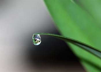 Crypto Plummets As CPI Worsens, Any Chance For Reversal?