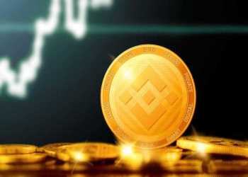 Binance Coin (BNB) Bulls Defends Key Zone, Will The Give Up?