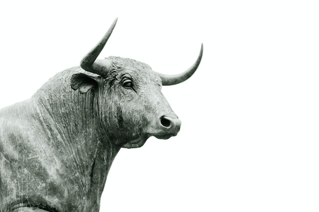 Crypto Won't See Bull-Run Anytime Soon, Expert Explains Why