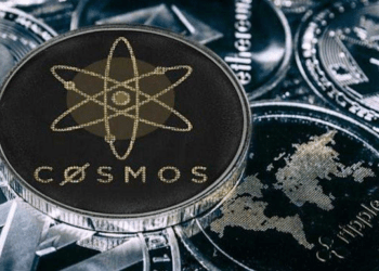 Cosmos
