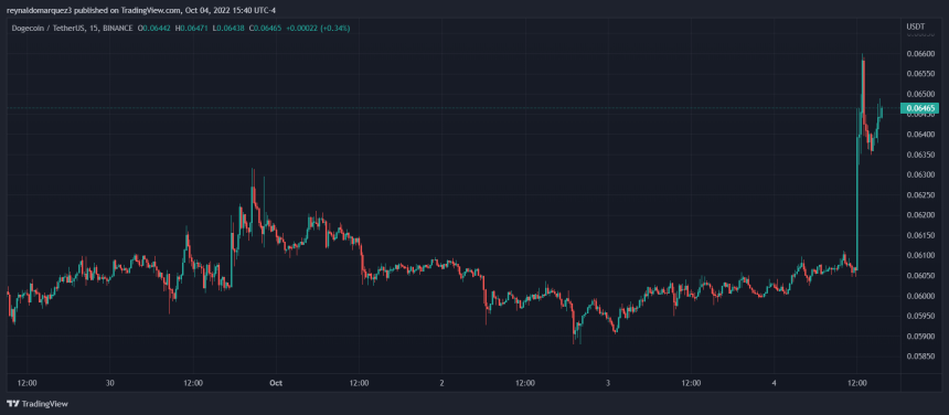 Dogecoin DOGE DOGEUSDT Elon Musk Chart 2