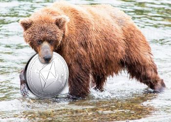 Ethereum bear