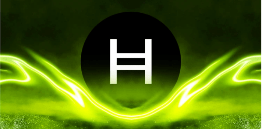 Hedera