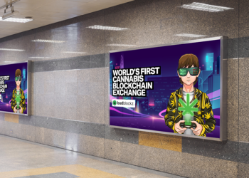 Avalanche, Solana, and Budblockz: Must-Have Coins in Q4 2022