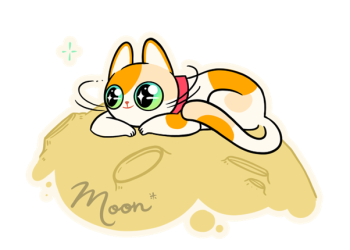 Will Big Eyes Coin’s NFT Sushi Club Reach The Top Ten Like Ethereum’s CryptoPunks And BNB’s NFT Marketplace?