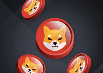 Shiba Inu
