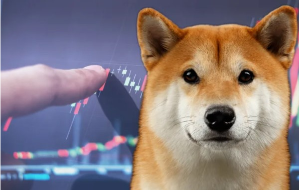 Shiba Inu se liberará del agarre bajista mientras se ve a SHIB aumentando