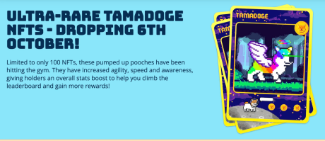 Ultra-Rare Tamadoge NFT