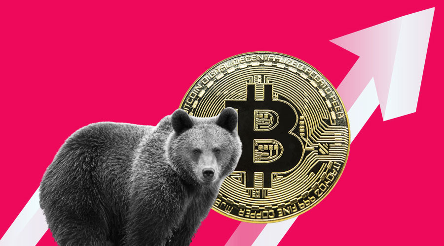Bitcoin Bottoms: The Psychology Of Bear Markets
