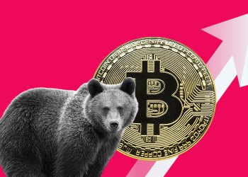 bitcoin bear