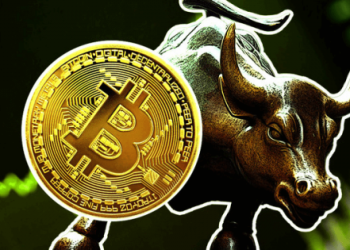bitcoin bull