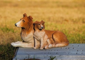 Dogecoin Tanks After Gaining Momentum, Will It Mark New Gains?