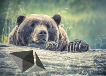 Ethereum Gains So Much Demand To Buy At $500, Will This Be Possible?