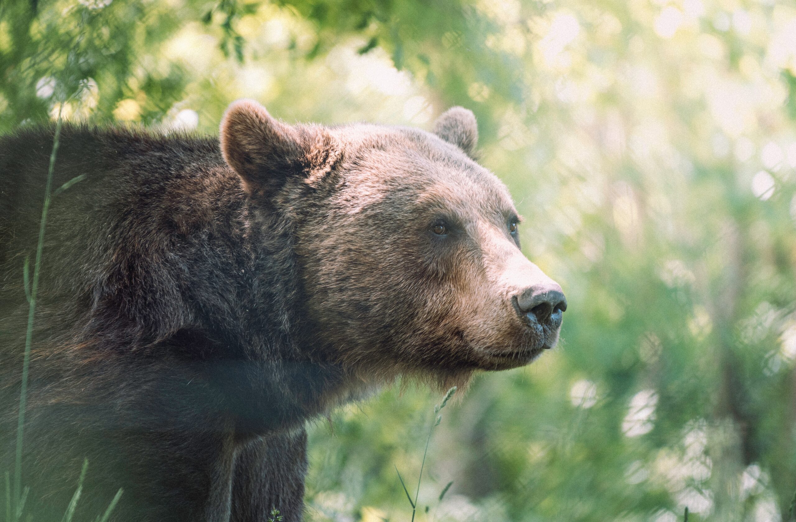 Bitcoin Bearish Signal: Dormant Supply On The Move Again