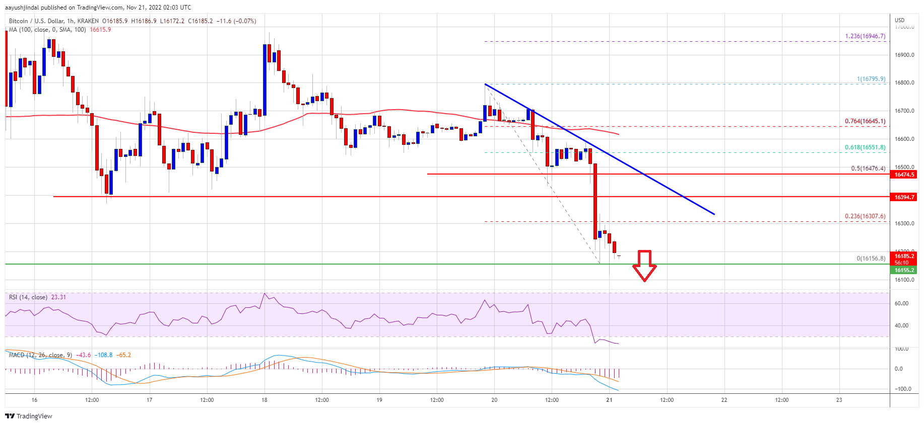 Bitcoin Price Takes Major Hit, Why The Bears Are Not Done Yet