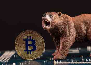 Bitcoin bear