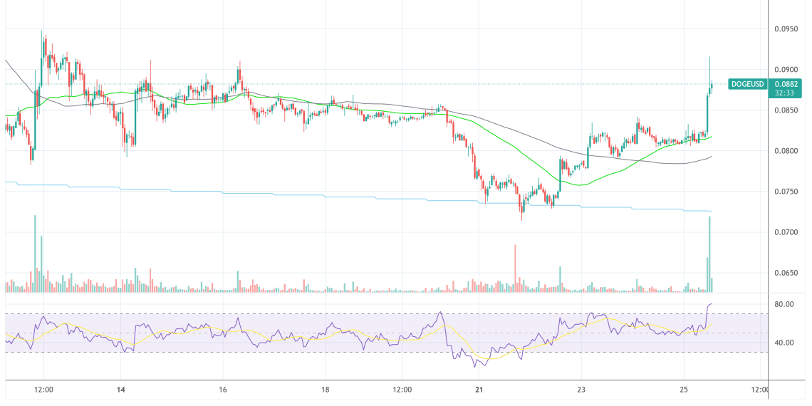 Dogecoin DOGE USD 2022-11-25