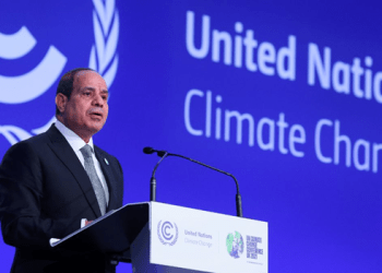 What World Leaders meeting for COP27 Could Learn from These 3 Eco-Friendly Crypto Projects