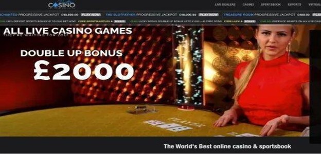 Best Bingo Sites in 2024: Top 10 Trusted Bingo Websites Online