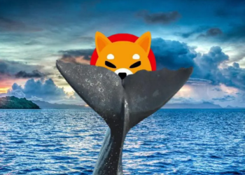 Shiba Inu
