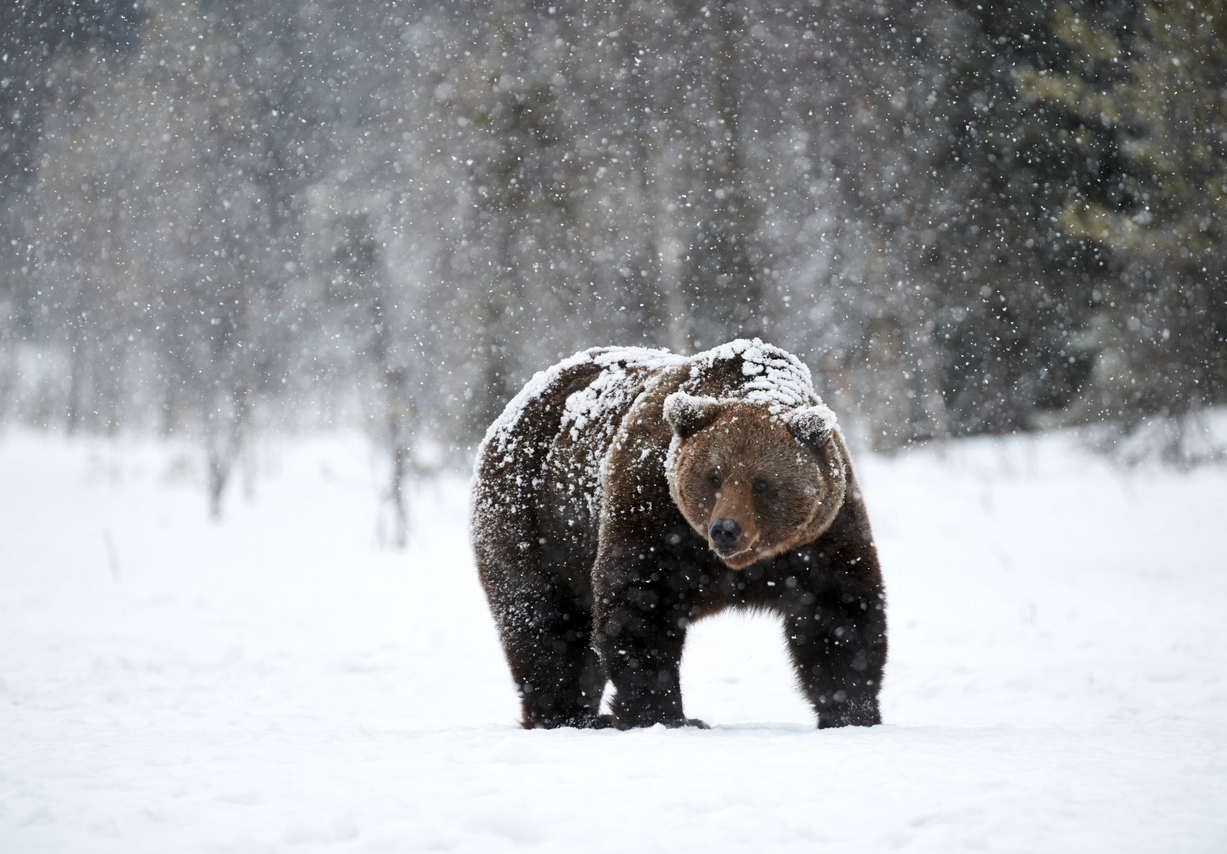 crypto winter