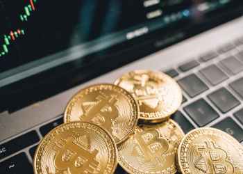 Private: Crypto casinos are becoming increasingly popular in Sweden
