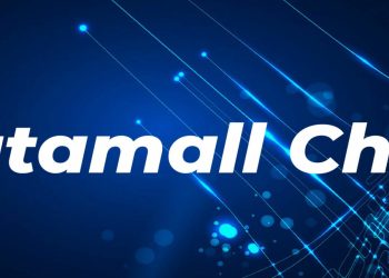 Making Web3 and Decentralized Storage Mainstream: How Datamall Chain is Building an Efficient Marketplace for Decentralized Storage
