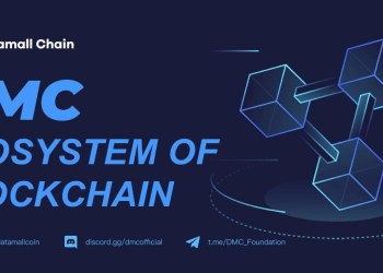 Datamall Chain (DMC) Foundation Adds 5 Major Strategic Partners to Decentralized Storage Ecosystem