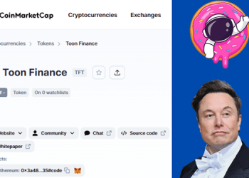 Why should Toon Finance (TFT) Big Eyes (BIG) Dogecoin (DOGE) be on your list for 2023?