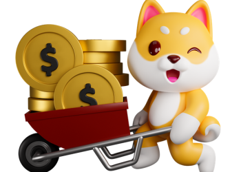 Shiba Inu, Dogecoin, Meme Coins & Why Investors Dive into Toon Finance Presale