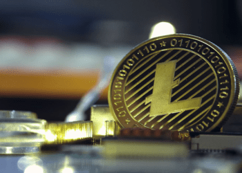 Big Eyes Coin Looks To Be Just As Big As Stellar And Litecoin
