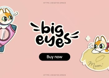 Getting Ready for the Next Bull Run With Big Eyes Coin, Internet Computer, And Ethereum