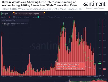 Santiment bitcoin whales