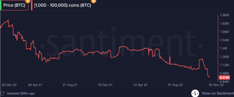 Bitcoin whales 