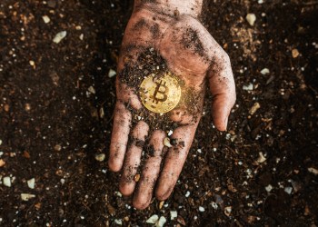 bitcoin bottom