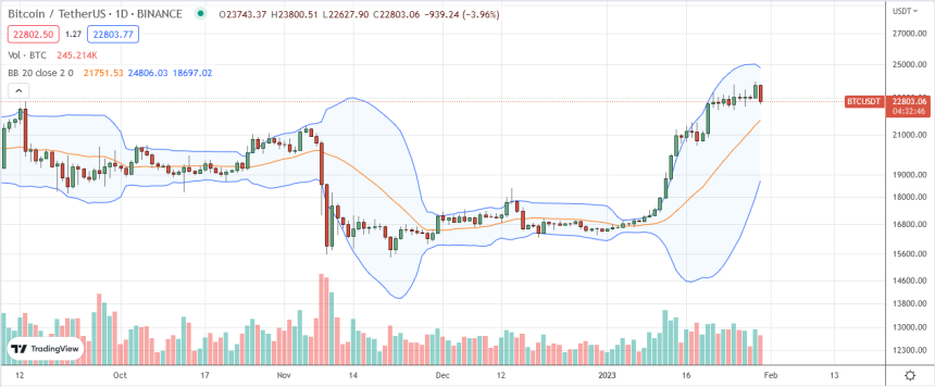 Bitcoin Price on January 30 (2)