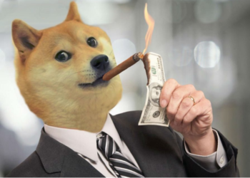 Dogecoin on the Rise: Over 5 Million Wallets Now Profitable As Potential Surge Looms