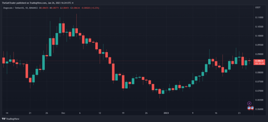 Dogecoin DOGE DOGEUSDT