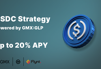 Flynt Finance’s USDC Delta Neutral Strategy: A Smart Move for Diversifying Your Cryptocurrency Portfolio