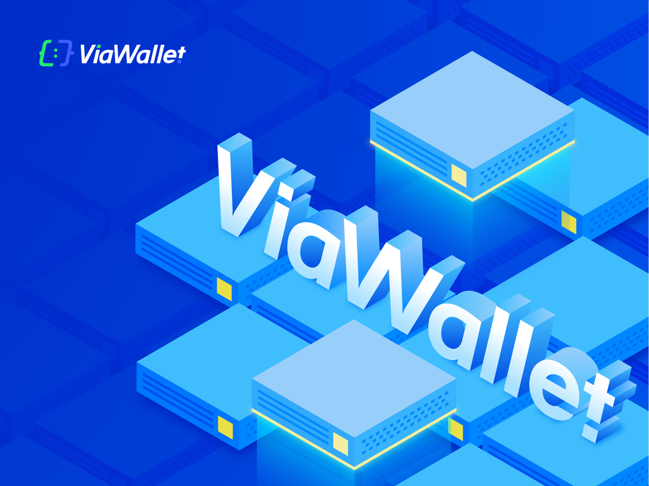 2022 in Review: ViaWallet Launches Multi-dimensional Upgrades to Offer  Comprehensive, Secure, and Easy-to-use Wallet Services