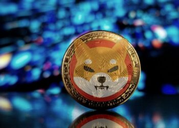 Binance Approves Shiba Inu As Collateral