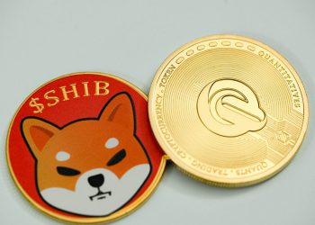 Shiba Inu Coin