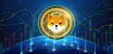 Shiba Inu