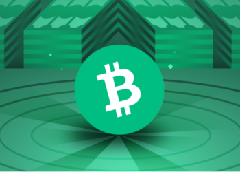 Bitcoin Cash Closes 2022 With A Year-Low – Will 2023 Be Better?