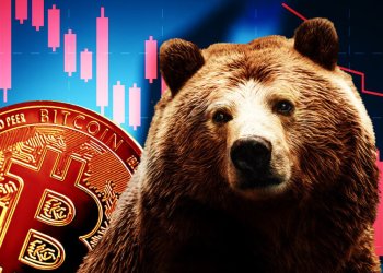 bitcoin bear
