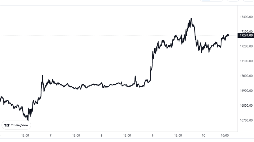 Bitcoin Price Chart