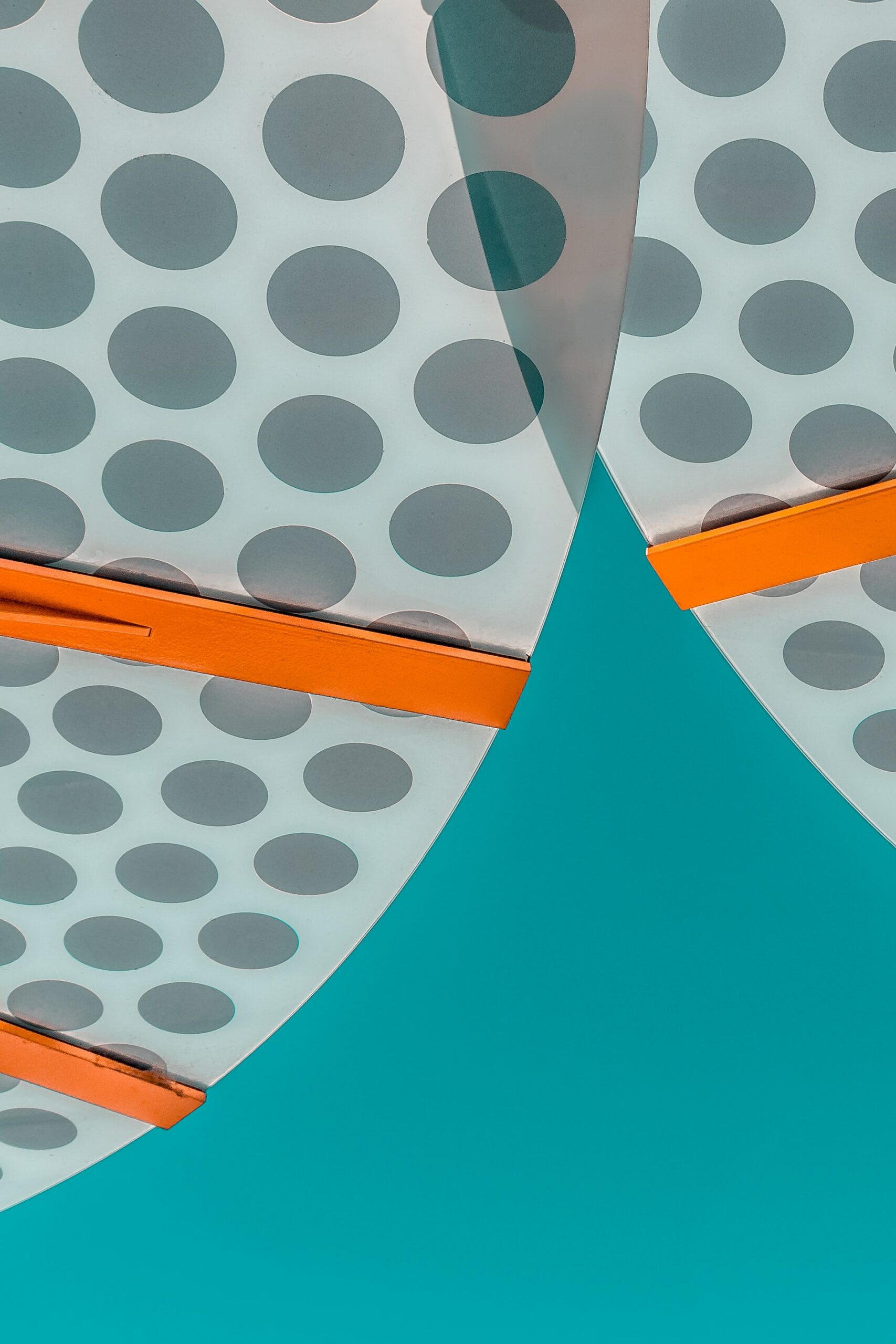 Polkadot