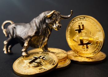 Bitcoin Bulls